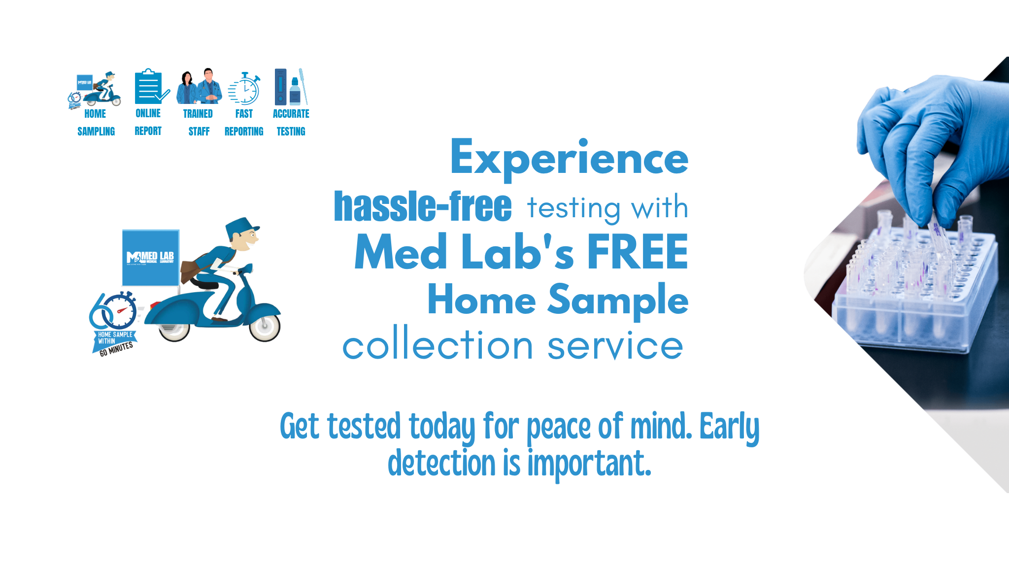 IMG_3685 (1) IMG_3685 (1)